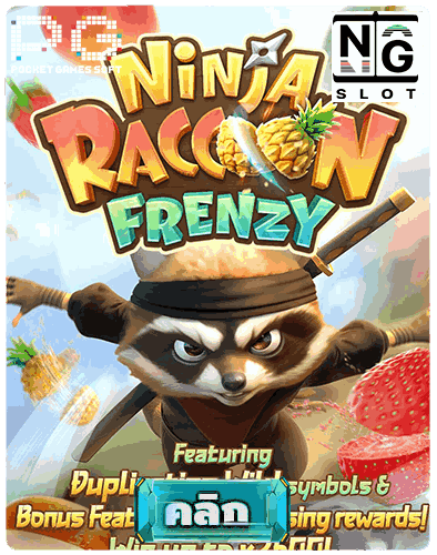 Ninja Raccoon Frenzy