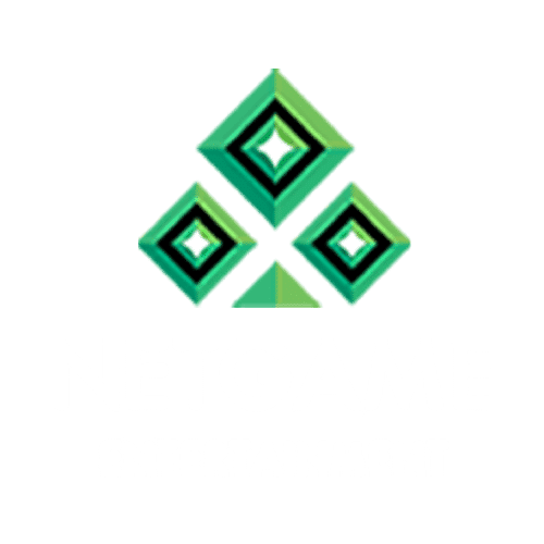 netgame